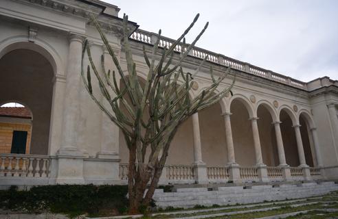    Portico di Brignardello
